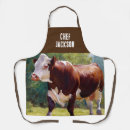 Search for hereford Hereford bull