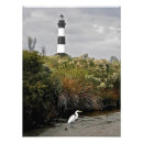 Search for wetland posters Egret