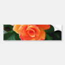 Search for rose bumper stickers Garden