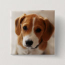 Search for two animals badges Dog