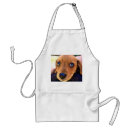 Search for puppies standard aprons Dachshund