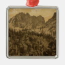 Search for sepia christmas tree decorations County