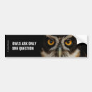 Search for prey bumper stickers Raptor