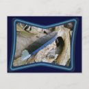 Search for items postcards Nature