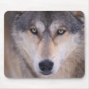 Search for close mousepads Fauna