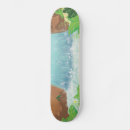 Search for waterfalls skateboards Forest