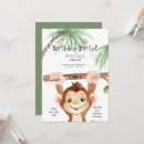 Search for boy monkey Animals