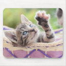 Search for basket mousepads Cat