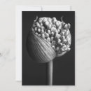 Search for allium cards Garden