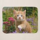Search for animal head blankets Cat