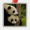 Search for china christmas tree decorations Bear