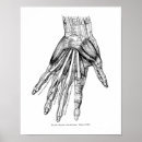 Search for vintage medical posters Antique