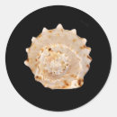 Search for aquatic stickers Marine
