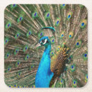 Search for pure coasters Green