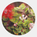 Search for hawaii flower stickers Bloom