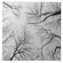 Search for natural world tiles Europe