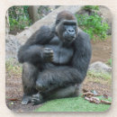 Search for zoo coasters Gorilla