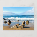 Search for monterey Nature