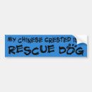Search for crests bumper stickers Dog