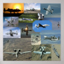 Search for warthogs posters Air force