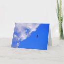 Search for freedom cards Flight