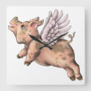 Search for cute pig baby kids Piggy