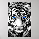 Search for blue tiger posters White