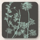 Search for nature coasters Floral