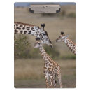 Search for environment clipboards Habitat