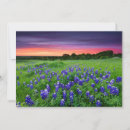 Search for rural scenes cards Nature