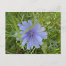 Search for easter wish postcards Purple