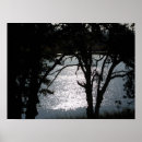 Search for black and white tree silhouette art Nature