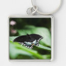 Search for wings butterfly key rings Green