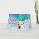 Search for antler christmas cards Pet