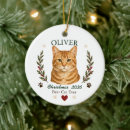 Search for orange cat christmas tree decorations Cute