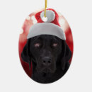 Search for black lab christmas tree decorations Funny