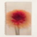 Search for spiral planners Design