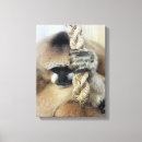 Search for monkey painting canvas prints Ape