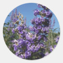 Search for lilac flower stickers Bloom