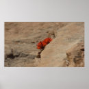 Search for indian flower posters Photography