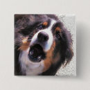 Search for border collie dog badges Pet