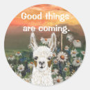 Search for best mama stickers Cool