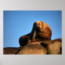Search for the thinker art Nature