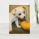 Search for dog bite cards Baby