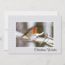 Search for winter robin christmas cards Snow