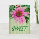 Search for purple daisy birthday cards Pink