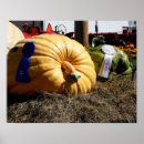 Search for blue pumpkin posters Farmhouse
