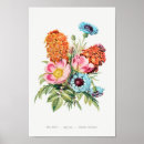 Search for vintage peony art Botanical