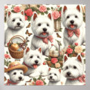 Search for west highland terrier posters Dogs