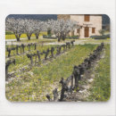 Search for tree blossoms mousepads Fruit